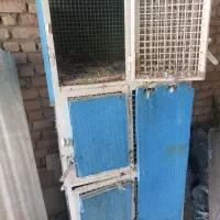 قفس|لوازم جانبی حیوانات|ساوه, |دیوار