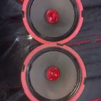 میدرنج ۶ اینچ نو نو