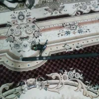 لنسر ماهیگیری