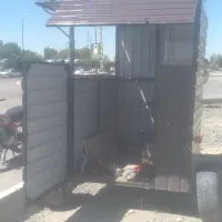 چرخ فلافلی سیار.دکه فلافلی و سیگار فروشی سیار .|کافیشاپ و رستوران|همدان, |دیوار