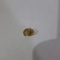 طلا نو۲درصد|جواهرات|اردبیل, |دیوار