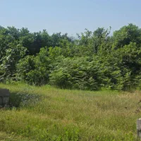 فروش زمین ۳۲۴ متری باکاربری مسکونی|فروش زمین و ملک کلنگی|کلاچای, |دیوار