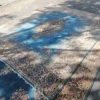 فرش دست بافت|فرش|کرمان, |دیوار