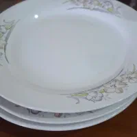 ظروف سرمه ای ظروف مناسب باغ|ظروف سرو و پذیرایی|زنجان, |دیوار