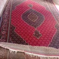 چهار عدد شش متری ریز ماهی