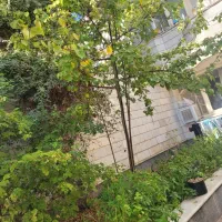 خوابگاه دخترانه