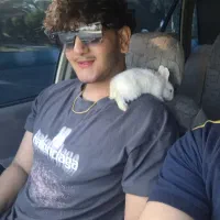 خرگوش مینیاتور کیوت