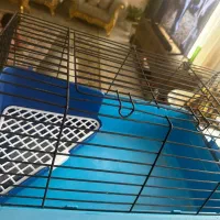 همراه امن خانه حیوانات