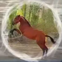 اسب مادیان