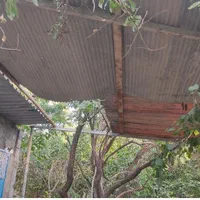 فروش باغ با سند و الاچیغ و.. در پل زمانخان سامان|فروش دفتر صنعتی، کشاورزی، تجاری|سامان, |دیوار