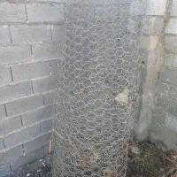 ۱۴متر طوری سالم