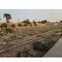 گلدشت - باغ