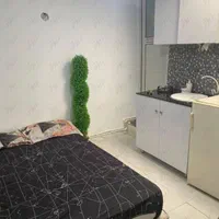 سوییت با پارکینگ اختصاصی|اجارهٔ کوتاه‌مدت آپارتمان و سوئیت|همدان, |دیوار