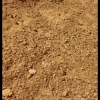 کود حیوانی ۹ ساله سوخته