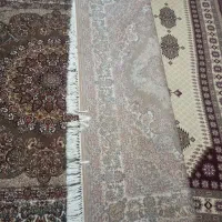 دو عدد فرش شش متری|فرش|بروجرد, |دیوار