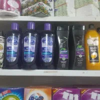 شامپو سر زیتون و شامپو بدن بلوبری