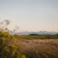 زمین-واقع-در-بلوار-کشاورز-شمالی