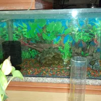 آکواریوم درحد نو