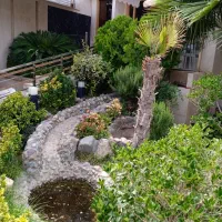 چوب بری کاشت باغچه حرس درخت