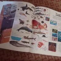 دایره‌المعارف مصور (دانستنی های شگفت انگیز)|کتاب و مجله آموزشی|اصفهان, درب کوشک|دیوار