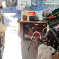 مغازه میوه فروشی