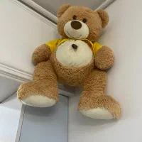 عروسک|اسباب‌‌بازی|قدس, شهر‌قدس|دیوار