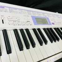 ارگ casio چینی