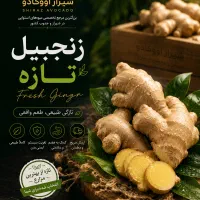بازاریاب و فروشنده زنجبیل زرنگ و فعال
