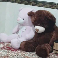 خرس بزرگ