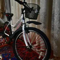 درحدنواورجینال شکاری اسپورتی 24 مارتون باسندرسمی