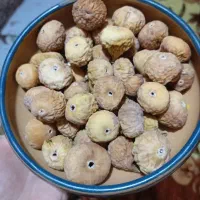 انجیر خشک و تازه|خوردنی و آشامیدنی|مشهد, ثامن|دیوار