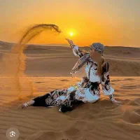 تور کویر
