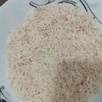برنج هاشمی خالص|خوردنی و آشامیدنی|صومعه‌سرا, |دیوار