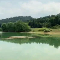 فروش زمین کنار دریاچه و جنگل از ۱۲۰ متر تا ۱۰۰۰متر|فروش زمین و ملک کلنگی|محمودآباد, |دیوار