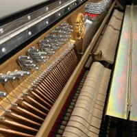 پیانو آکوستیک برند کایزربرگ|پیانو، کیبورد، آکاردئون|گرگان, |دیوار