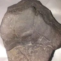 شهاب سنگ|کلکسیون اشیاء عتیقه|بندرعباس, |دیوار