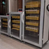 دستگاه جوجه کشی ققنوس هوشمند|لوازم جانبی حیوانات|هشتگرد, هیو|دیوار