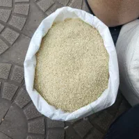 نیم دانه درشت کامفیروزی