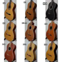 گیتار پارسی