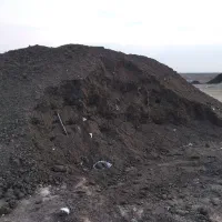 کود حیوانی گوسفندی وخاک باغچه تصمینی