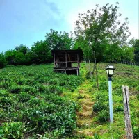 اجاره کلبه مجنون بهترین امکانات|اجارهٔ کوتاهمدت ویلا و باغ|فومن, |دیوار