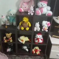 سرویس نوجوان|تخت و سرویس خواب|ورامین, ورامین|دیوار