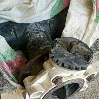 شیر پروانه ای