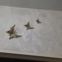 میوه خوری برنز|ظروف سرو و پذیرایی|نسیمشهر, |دیوار