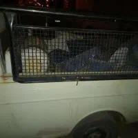 وانت پیکان تصادفی|خودرو سواری و وانت|زنجان, |دیوار