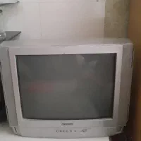 وسایل خانگی و شخصی|کیف، کفش، کمربند|جوانرود, |دیوار