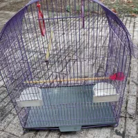 قفس پرنده
