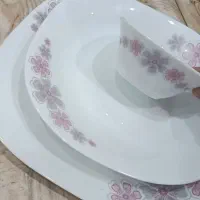 ظروف آرکوپال مارک بریکا|ظروف سرو و پذیرایی|سنندج, |دیوار