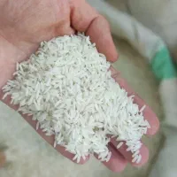 برنج/برنج هاشمی/برنج شمال/طارم/برنج فجر