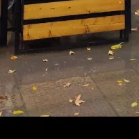 گلدان.. فلاور باکس